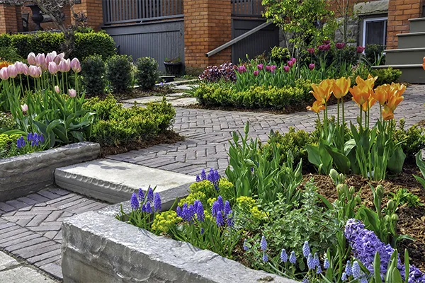 Hardscaping Hardscaping