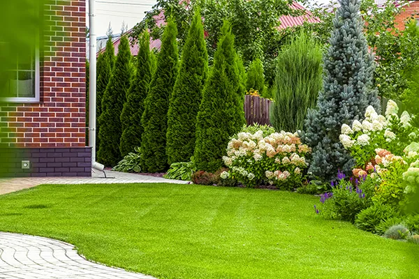 Landscaping Landscaping