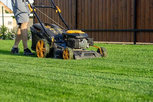 Lawn Care Lawn Care